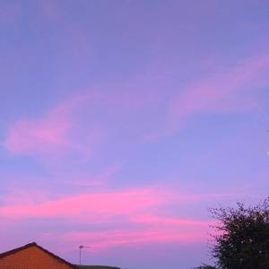 日韩三级片自拍视频
