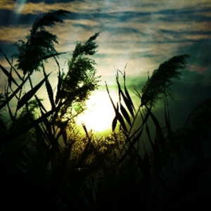 日韩三级片自拍视频
