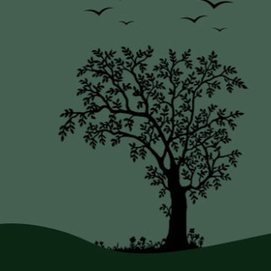 日韩三级片自拍视频
