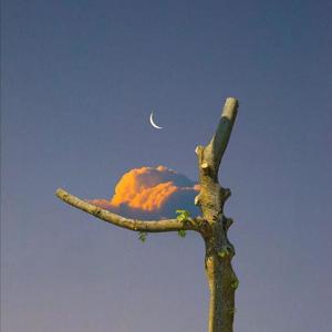 日韩三级片自拍视频
